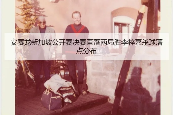 安赛龙新加坡公开赛决赛直落两局胜李梓嘉杀球落点分布